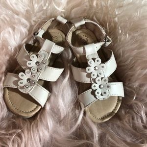 Toddler Girl Leather Sandals (NWOT)